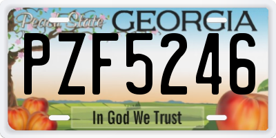 GA license plate PZF5246