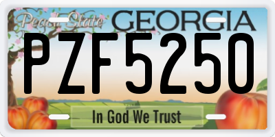 GA license plate PZF5250