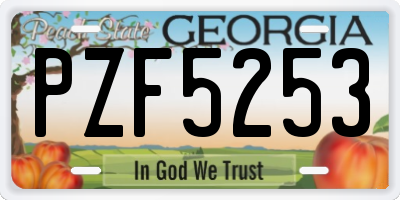 GA license plate PZF5253