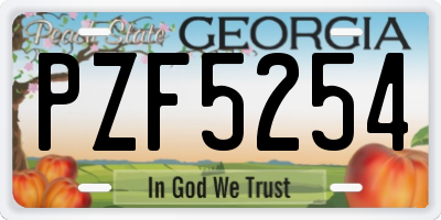 GA license plate PZF5254