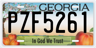GA license plate PZF5261