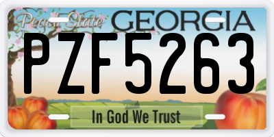 GA license plate PZF5263