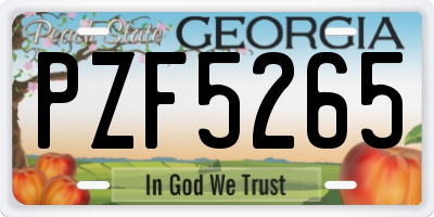 GA license plate PZF5265