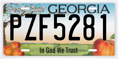 GA license plate PZF5281