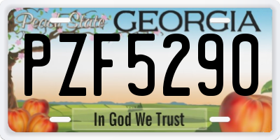 GA license plate PZF5290