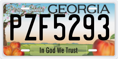 GA license plate PZF5293