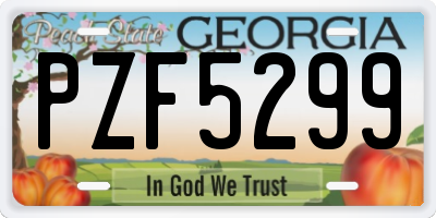 GA license plate PZF5299