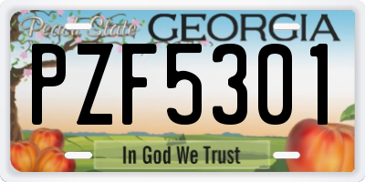 GA license plate PZF5301
