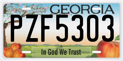 GA license plate PZF5303