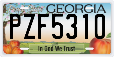 GA license plate PZF5310