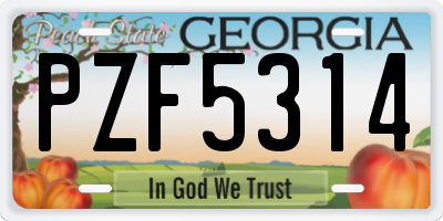 GA license plate PZF5314