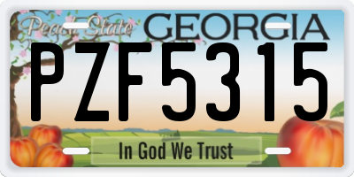GA license plate PZF5315