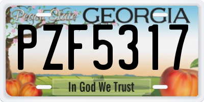 GA license plate PZF5317