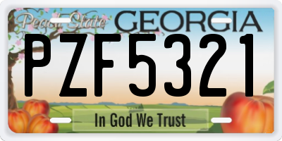GA license plate PZF5321