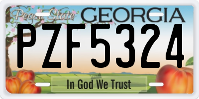 GA license plate PZF5324
