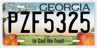 GA license plate PZF5325