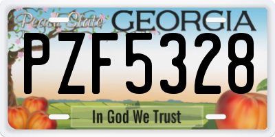 GA license plate PZF5328