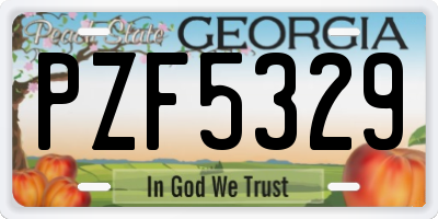 GA license plate PZF5329