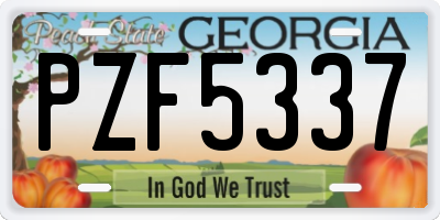 GA license plate PZF5337