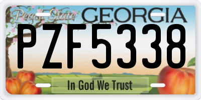 GA license plate PZF5338