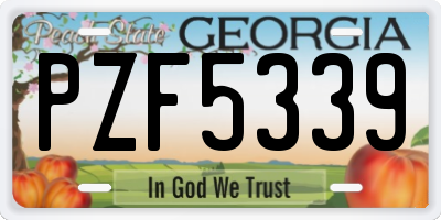 GA license plate PZF5339