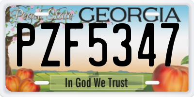 GA license plate PZF5347