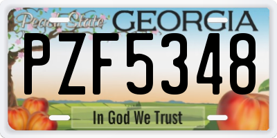 GA license plate PZF5348