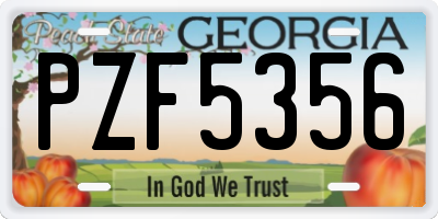 GA license plate PZF5356