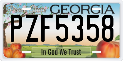 GA license plate PZF5358