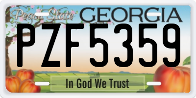 GA license plate PZF5359