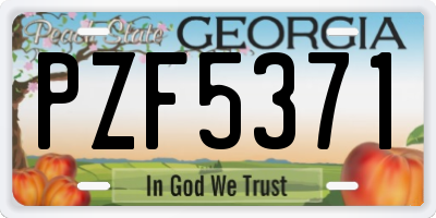 GA license plate PZF5371