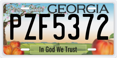 GA license plate PZF5372