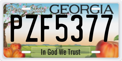 GA license plate PZF5377