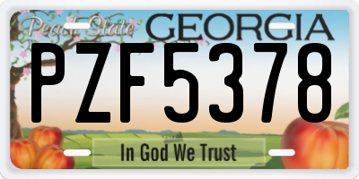 GA license plate PZF5378