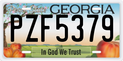 GA license plate PZF5379