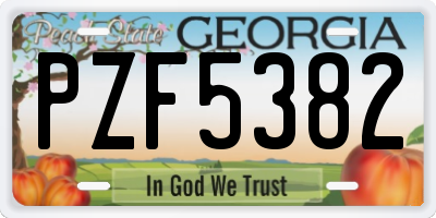GA license plate PZF5382