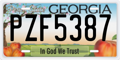 GA license plate PZF5387