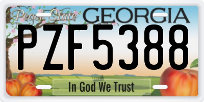 GA license plate PZF5388