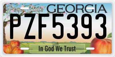 GA license plate PZF5393