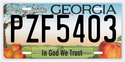 GA license plate PZF5403