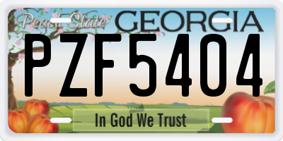 GA license plate PZF5404