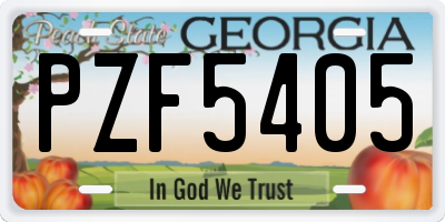 GA license plate PZF5405
