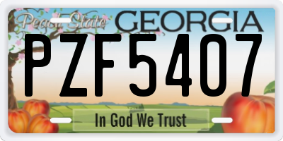 GA license plate PZF5407