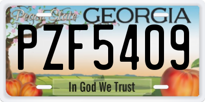 GA license plate PZF5409