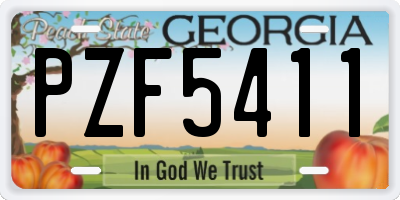 GA license plate PZF5411