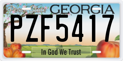 GA license plate PZF5417