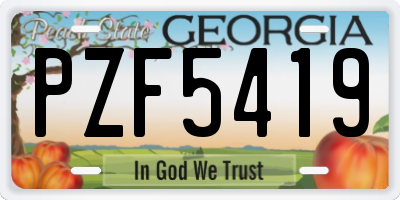 GA license plate PZF5419