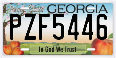 GA license plate PZF5446