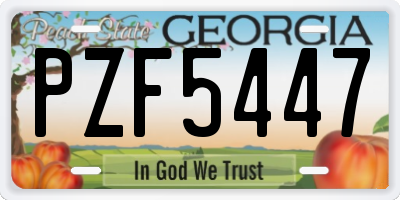 GA license plate PZF5447