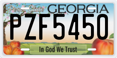GA license plate PZF5450